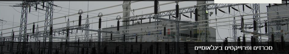 ניהול פרוייקטים